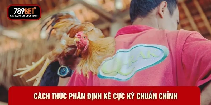Cách thức phân định kê cực kỳ chuẩn chỉnh Cách thức phân định kê cực kỳ chuẩn chỉnh