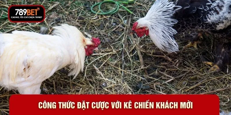 Công thức đặt cược với kê chiến khách mời Công thức đặt cược với kê chiến khách mời