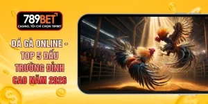 Đá Gà Online - Top 5 Đấu Trường Đỉnh Cao Năm 2026