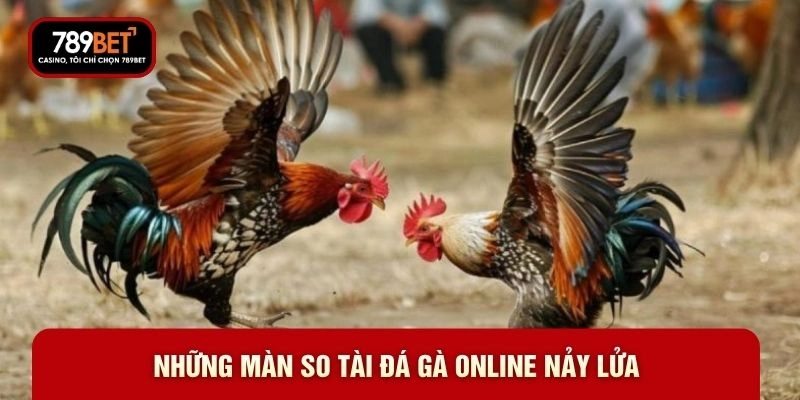 Những màn so tài đá gà online nảy lửa Những màn so tài đá gà online nảy lửa
