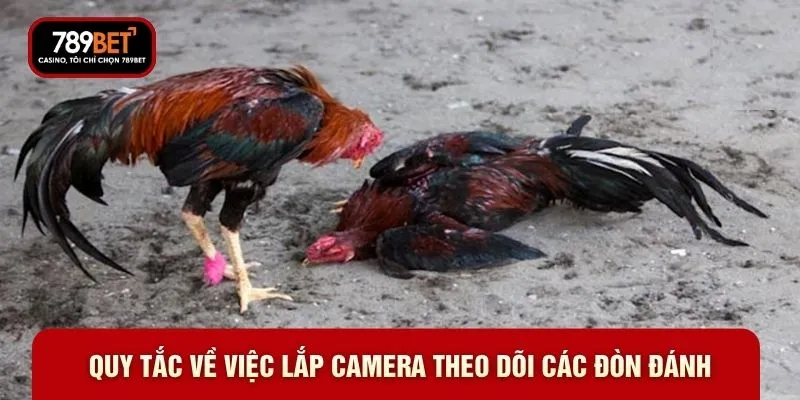 Quy tắc về việc lắp camera theo dõi các đòn đánh Quy tắc về việc lắp camera theo dõi các đòn đánh